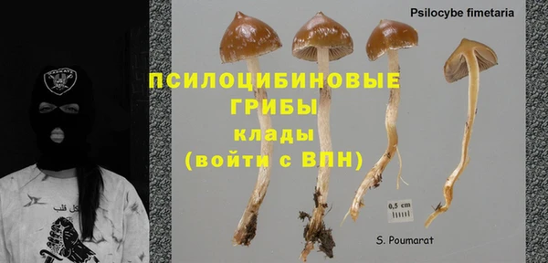 каннабис Богородицк