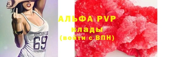 индика Сосновка