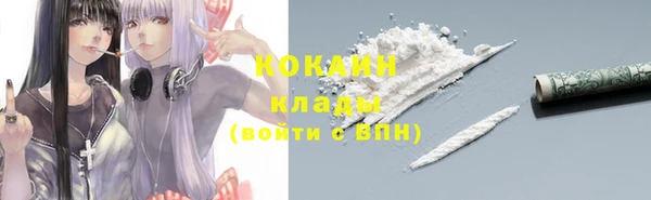 ГАЛЛЮЦИНОГЕННЫЕ ГРИБЫ Богданович