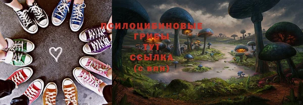 спиды Бронницы
