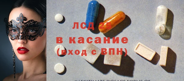 ГАЛЛЮЦИНОГЕННЫЕ ГРИБЫ Богданович