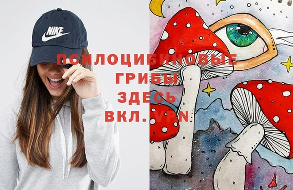 Альфа ПВП Богородск
