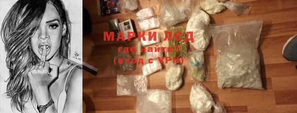 ГАЛЛЮЦИНОГЕННЫЕ ГРИБЫ Богданович