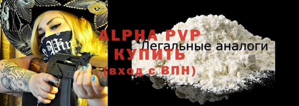 ГАЛЛЮЦИНОГЕННЫЕ ГРИБЫ Богданович