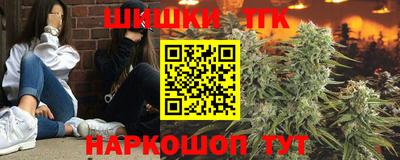 сатива Тверь