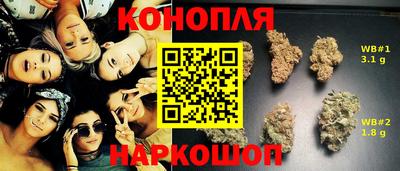 сатива Тверь