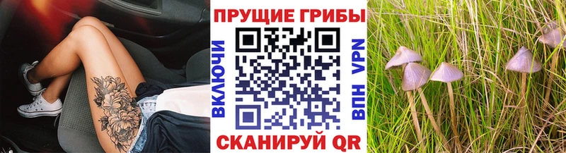 Галлюциногенные грибы ЛСД  Новомосковск 