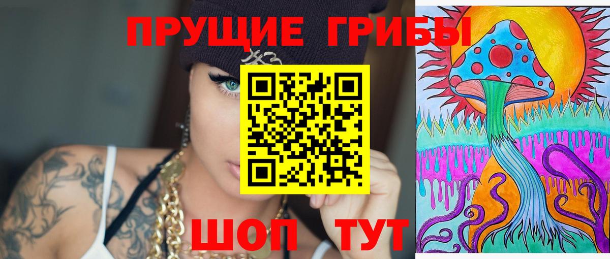 Псилоцибиновые грибы MAGIC MUSHROOMS  Вход с VPN  Новомосковск 